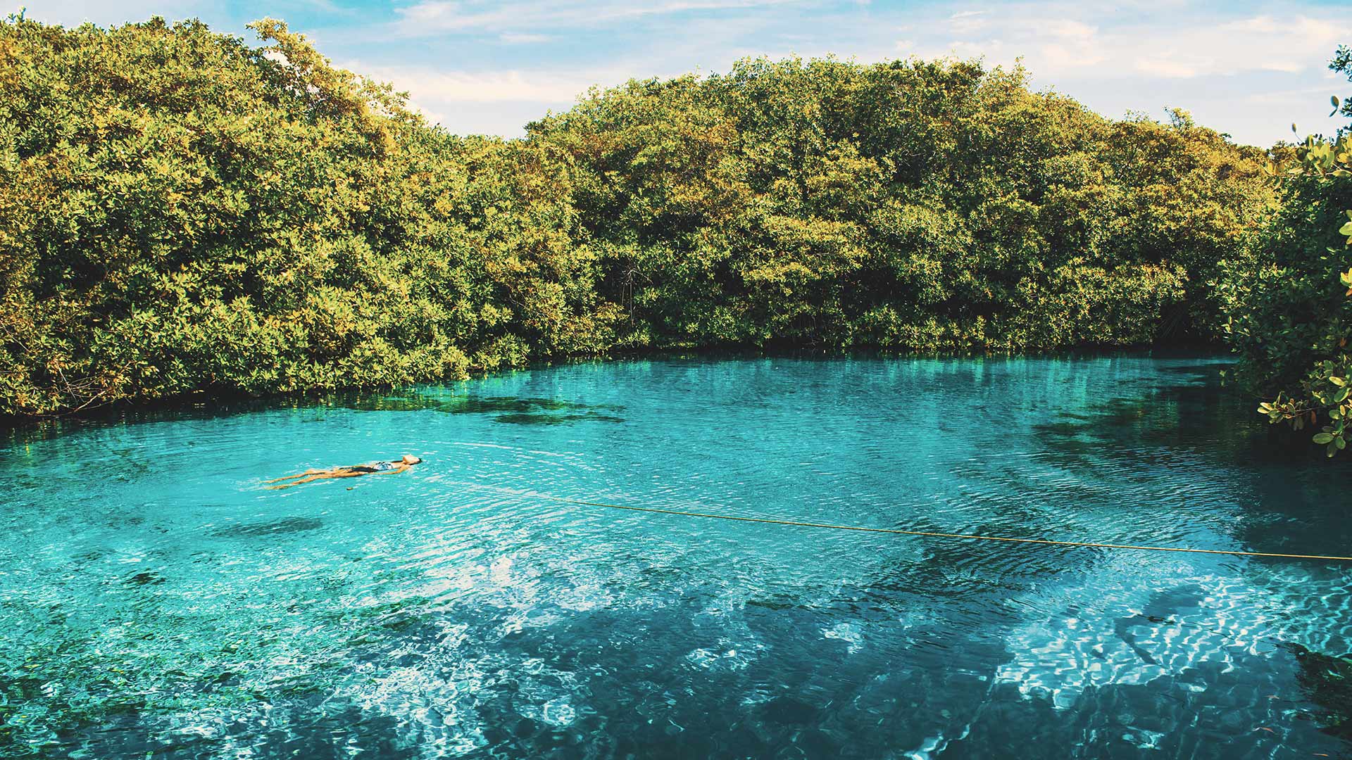 Persona nadando en el cenote