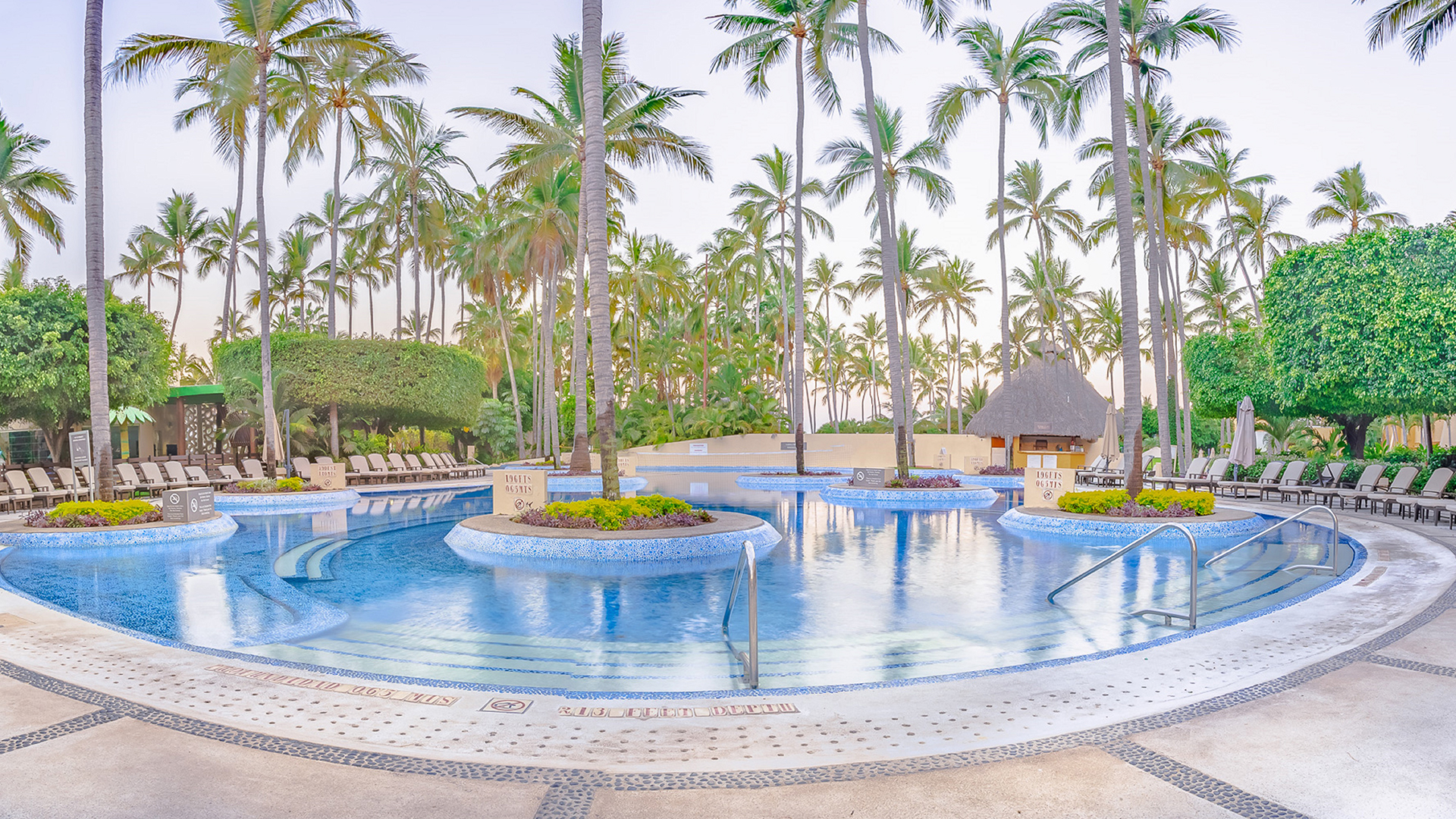 Piscina con palmeras flotantes en el Westin Resort & Spa