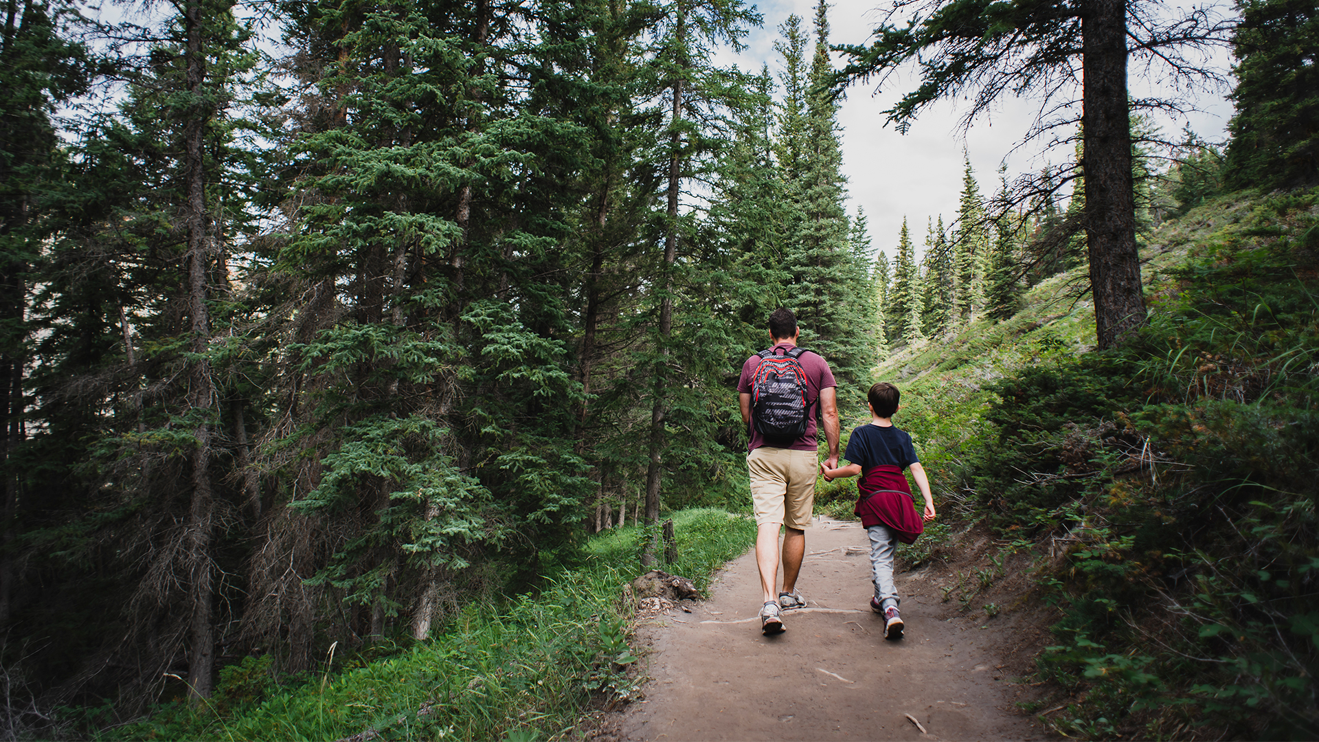 Papá e hijo haciendo senderismo en el Parque Nacional