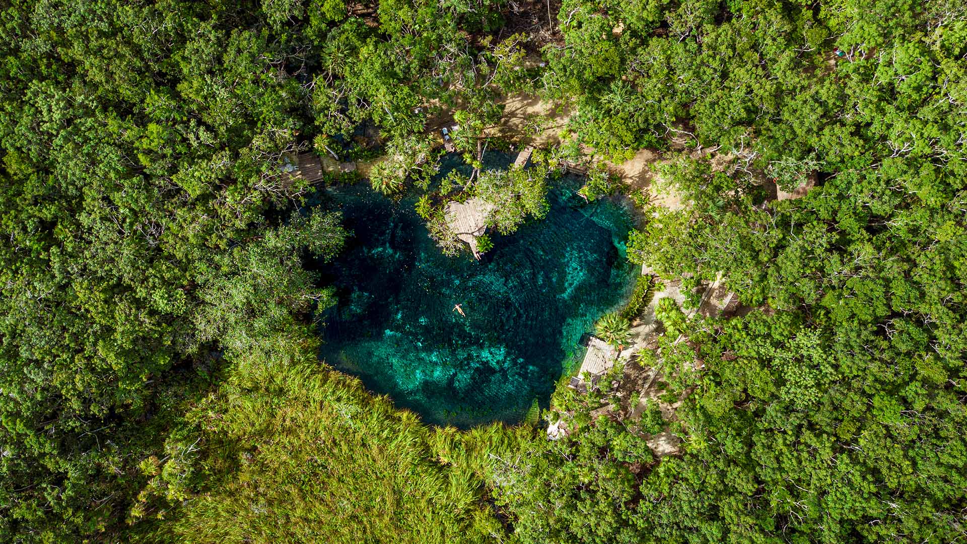 Los cenotes de Yucatán