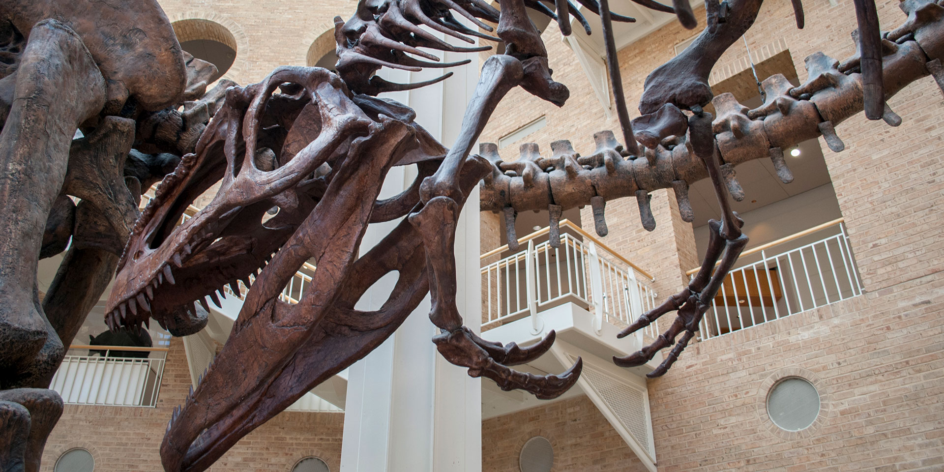 Museo Fernbank