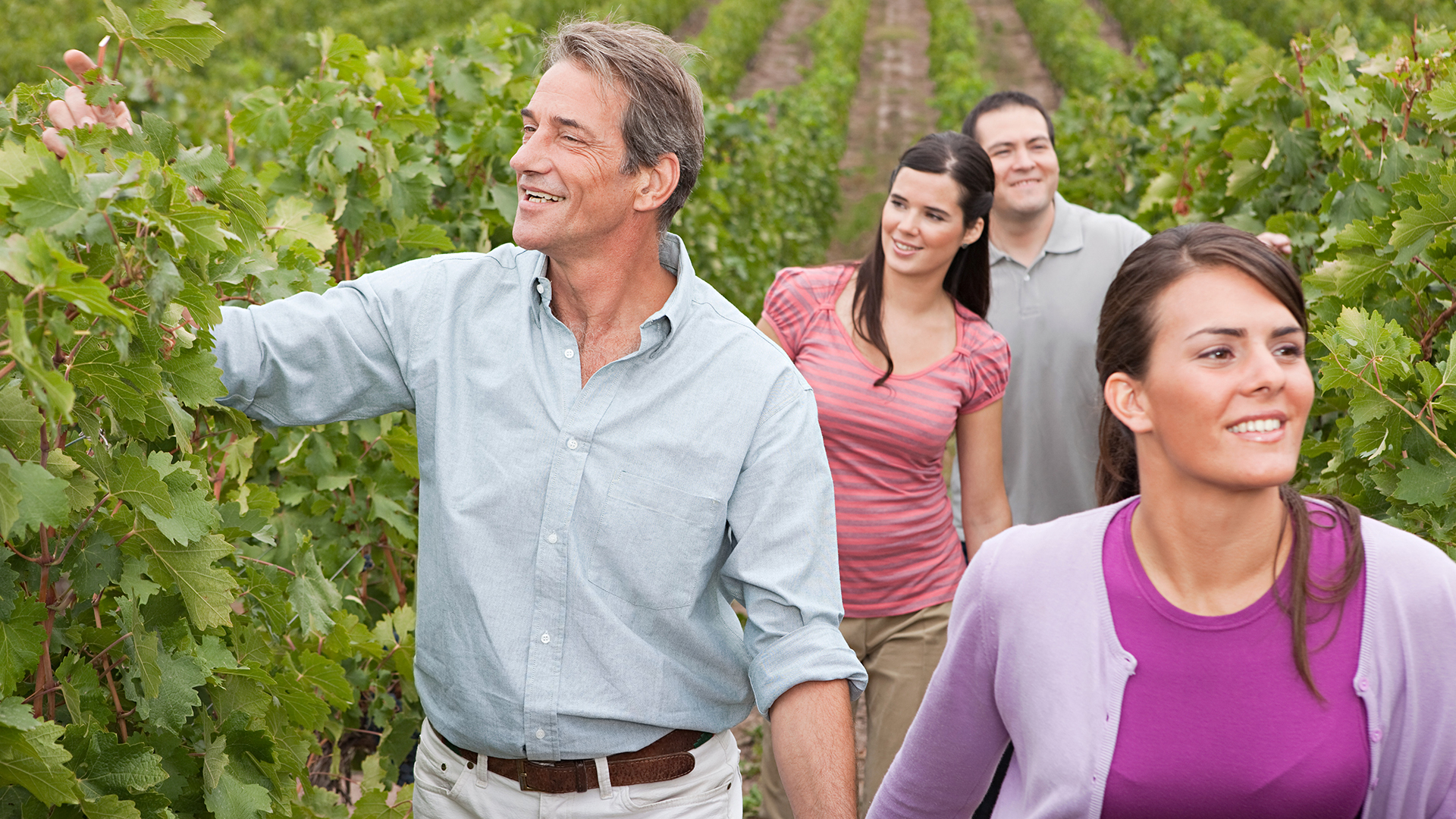 Camina entre los viñedos de Mendoza