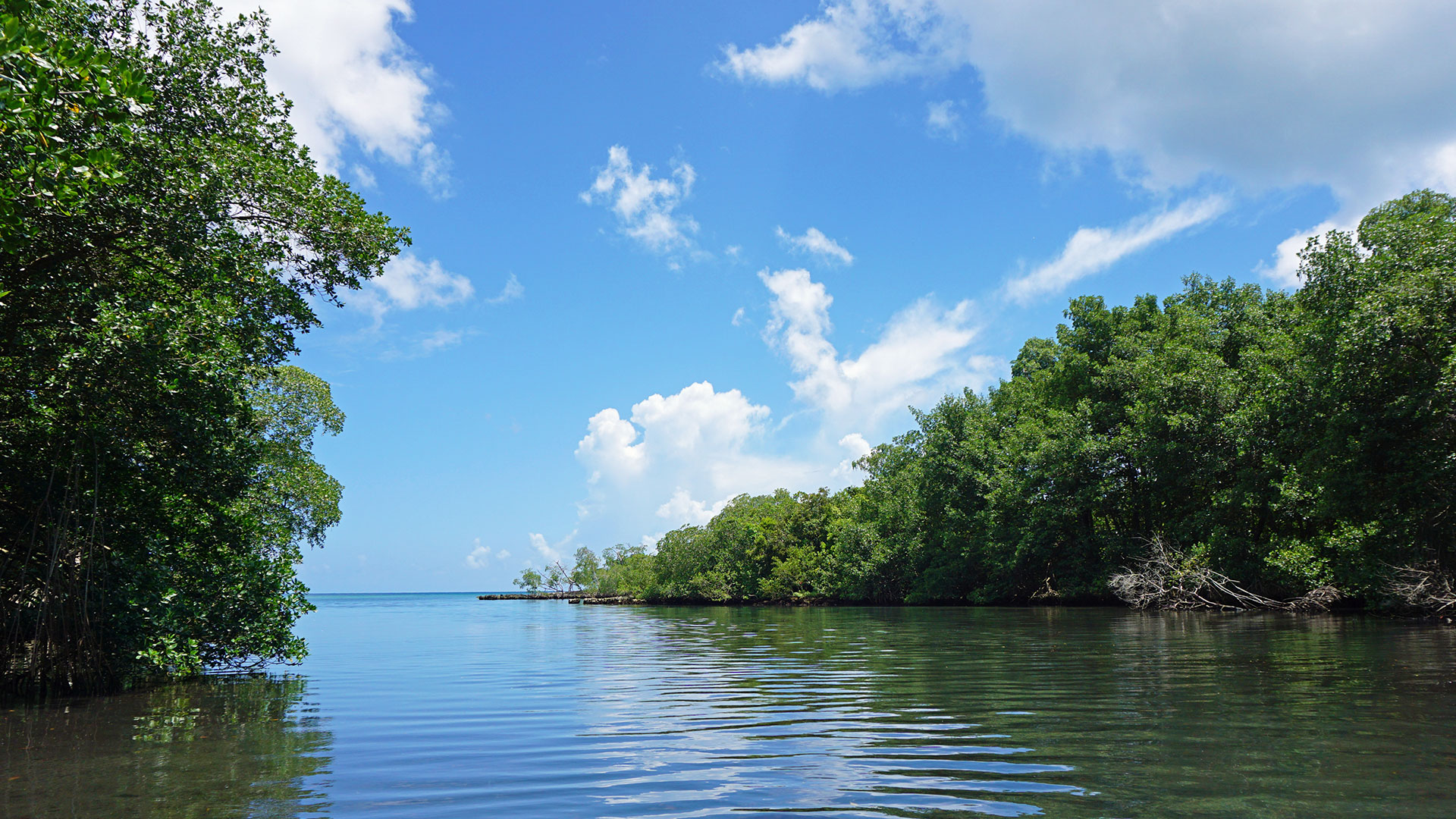 Mas que una laguna, es la bahía Gri Gri
