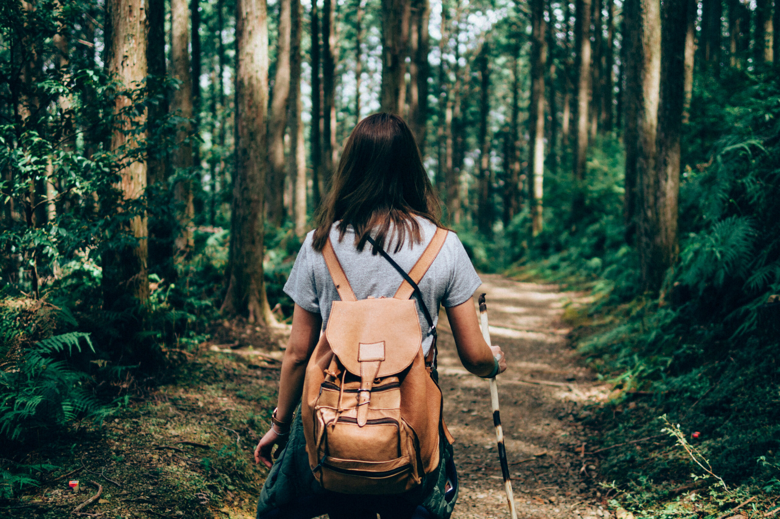 Mujer haciendo caminata por la selva tropical