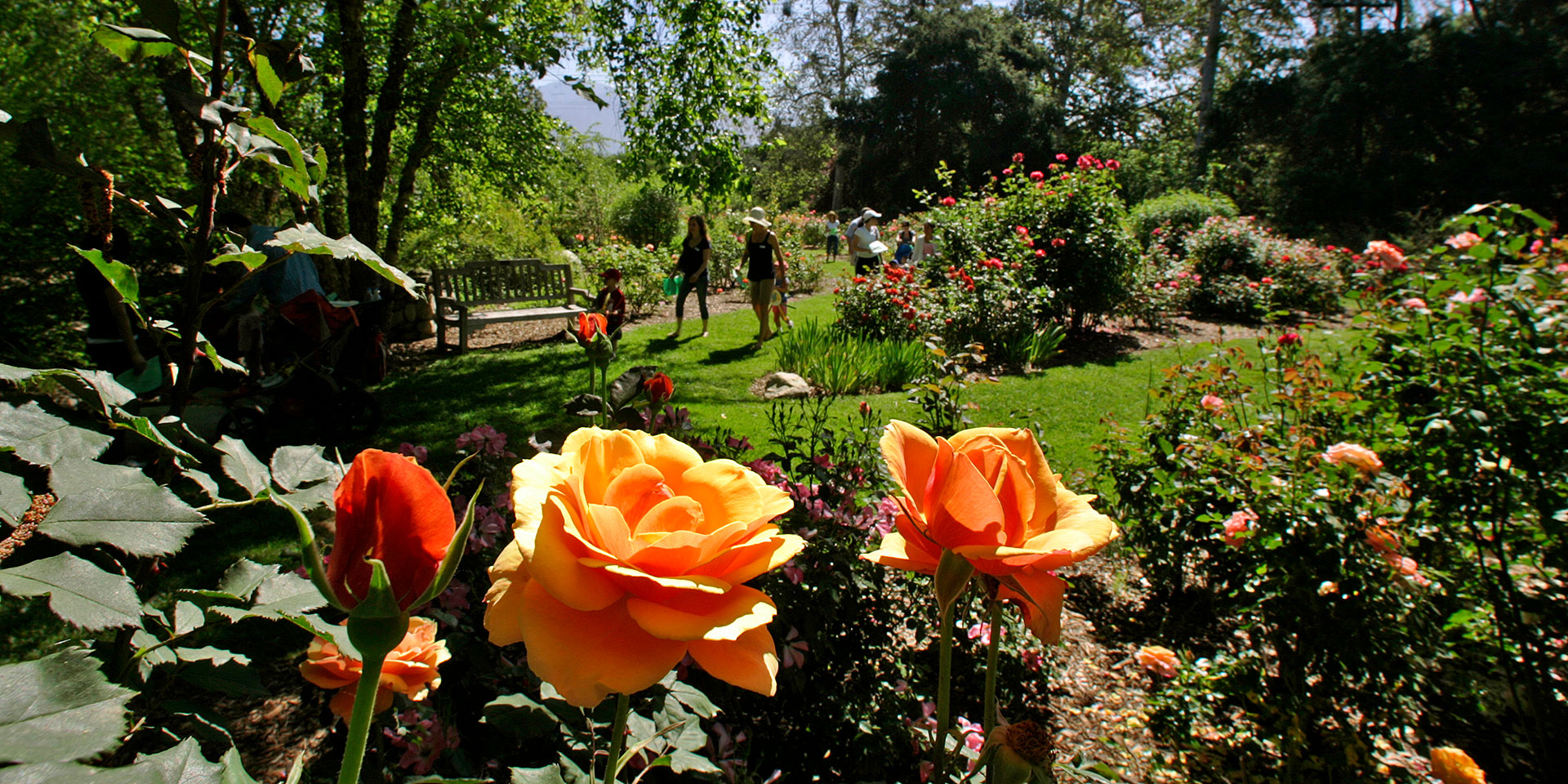 Ciudad de los Ángeles