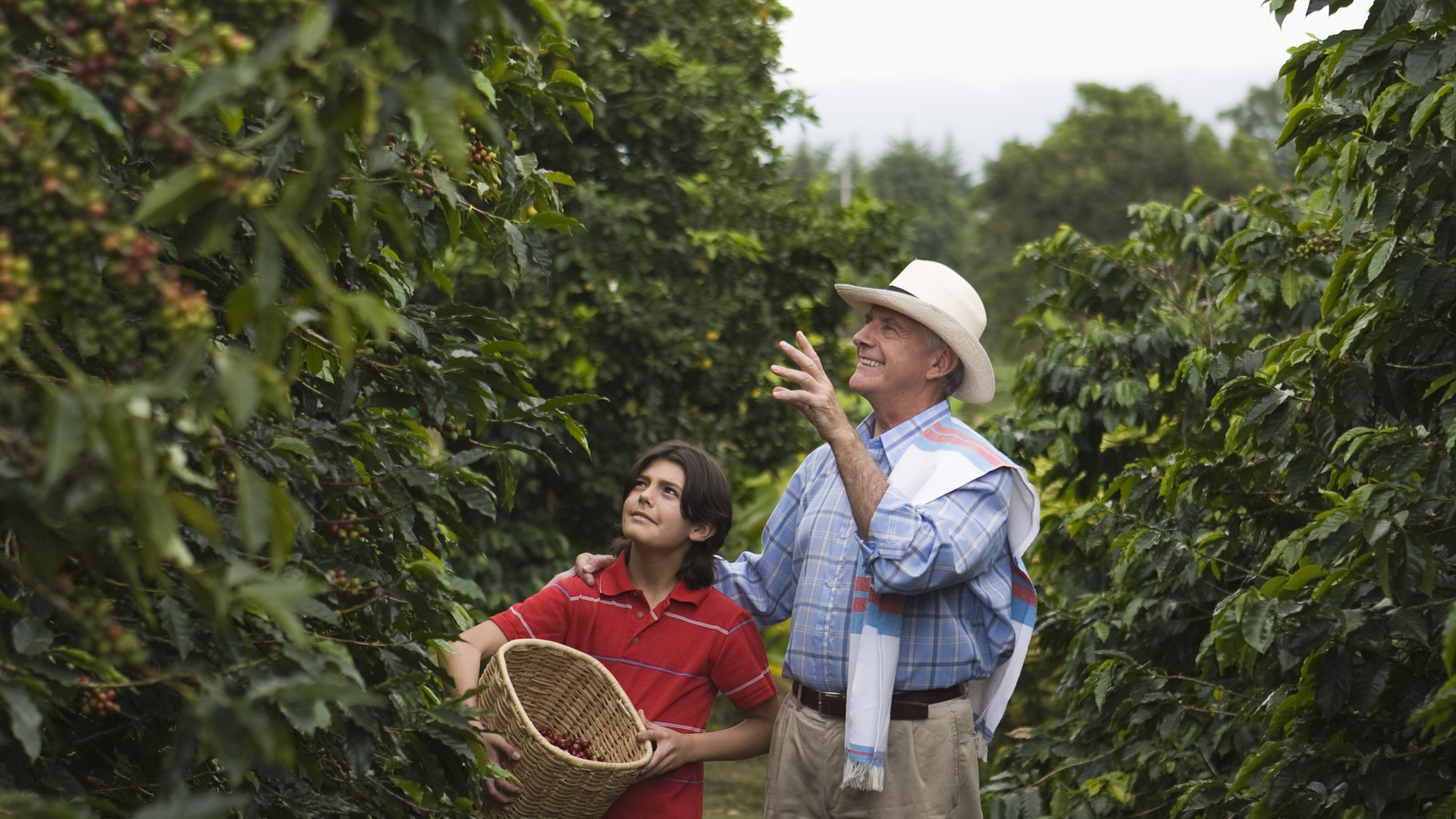 Recolectando café en familia