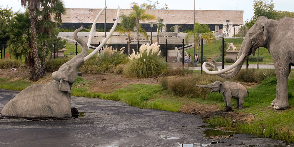 The La Brea Tar Pits and park.