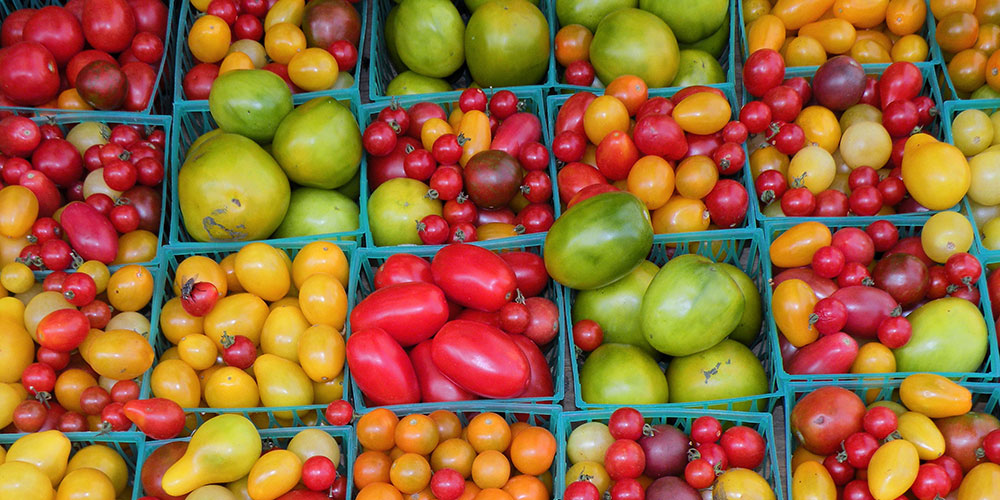 Enjoying nature at Central Park is always free in NYC. (Photo: Almy)