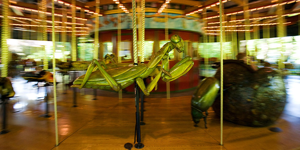 Enjoying nature at Central Park is always free in NYC. (Photo: Almy)