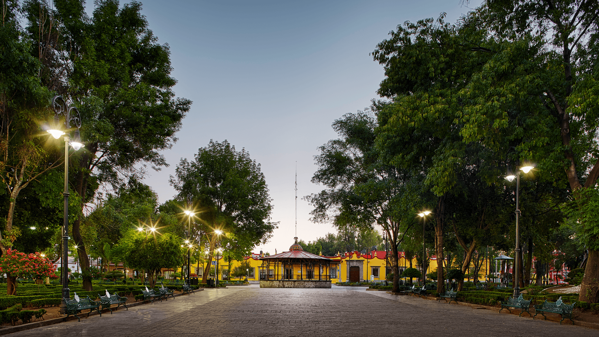 Víveros en el barrio de Coyoacán con la intención de reforestar la Ciudad