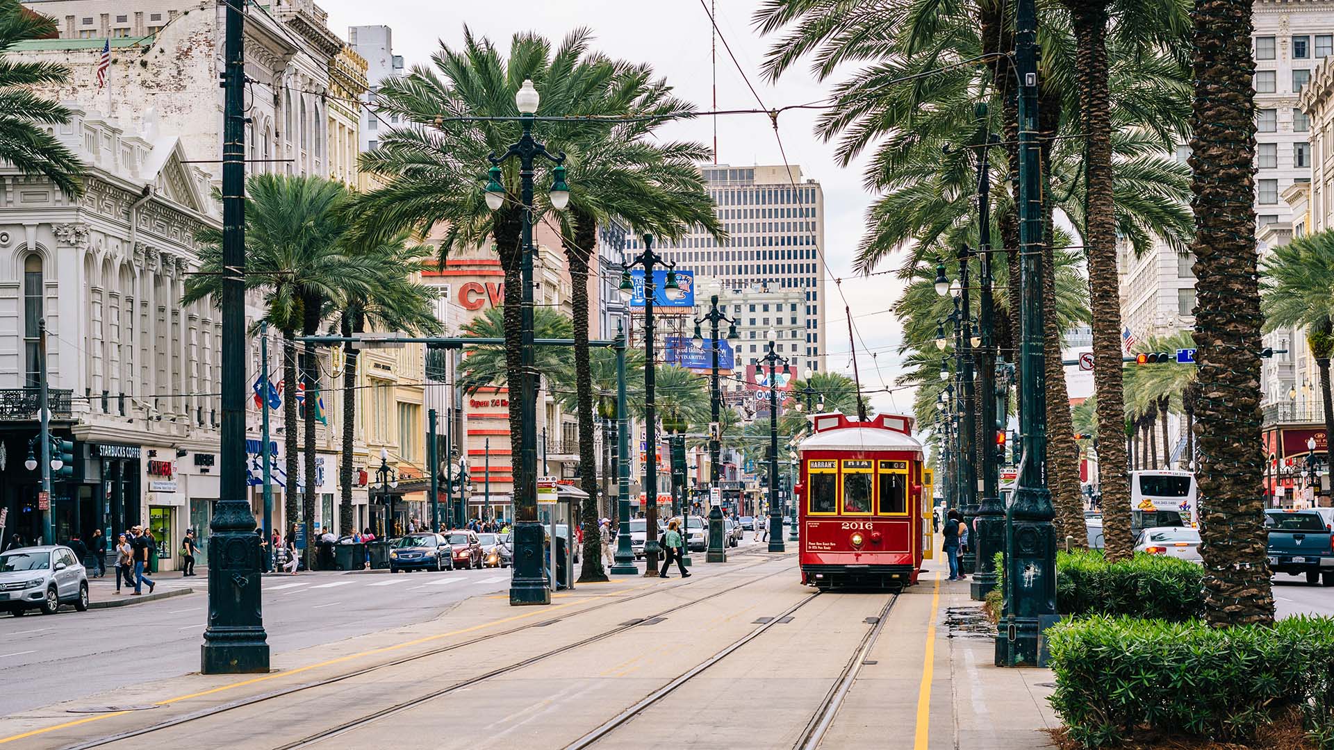 Eco-Friendly New Orleans: Our Sustainable Travel Guide