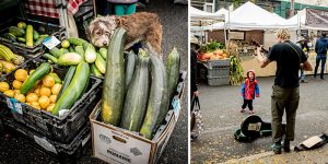 Fresh produce and friendly faces abound at Ballard Sunday Farmers Market. (Photo: Ellie Stover)