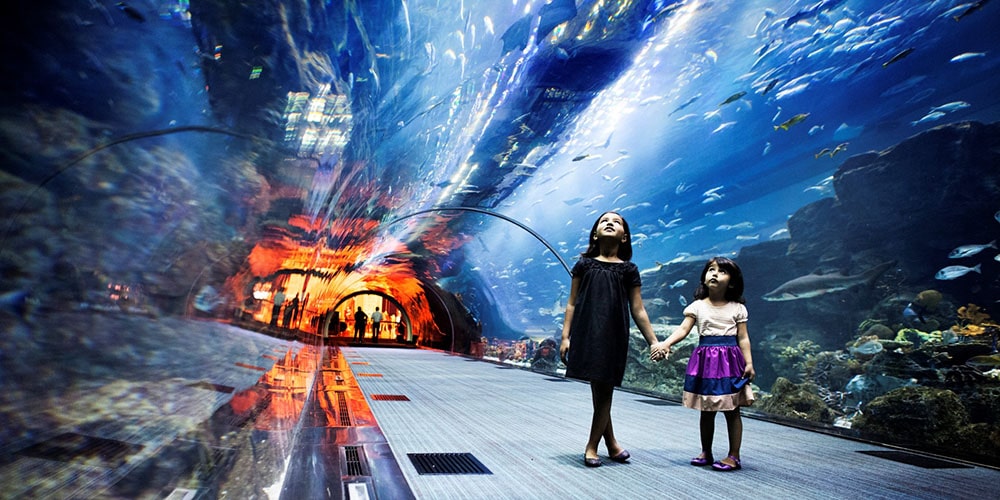UAE family aquarium dubai