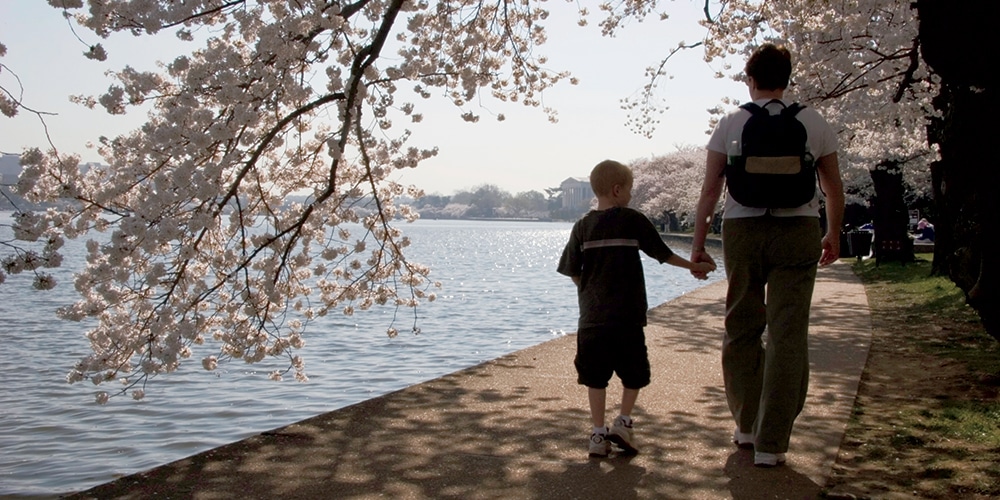 How to Do the D.C. Cherry Blossom Festival With the Kids Like a Pro