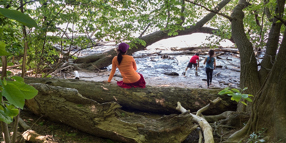 Looking for the Best-Kept Secrets in D.C.? Take a Hike