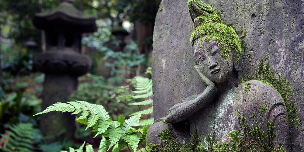 Tokyo’s Urban Oases: Where to Find Your Zen in the Metropolis