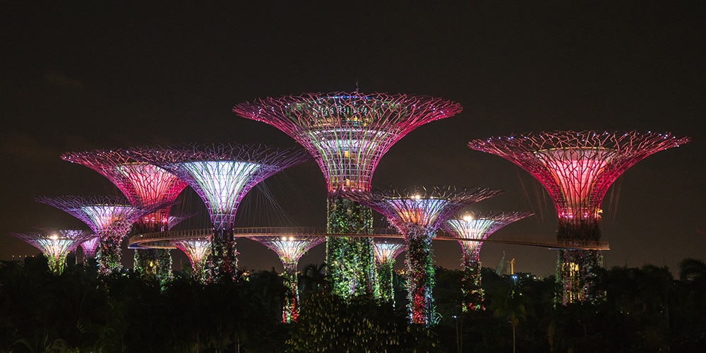 Supertree Grove in Gardens by the Bay in Singapore
