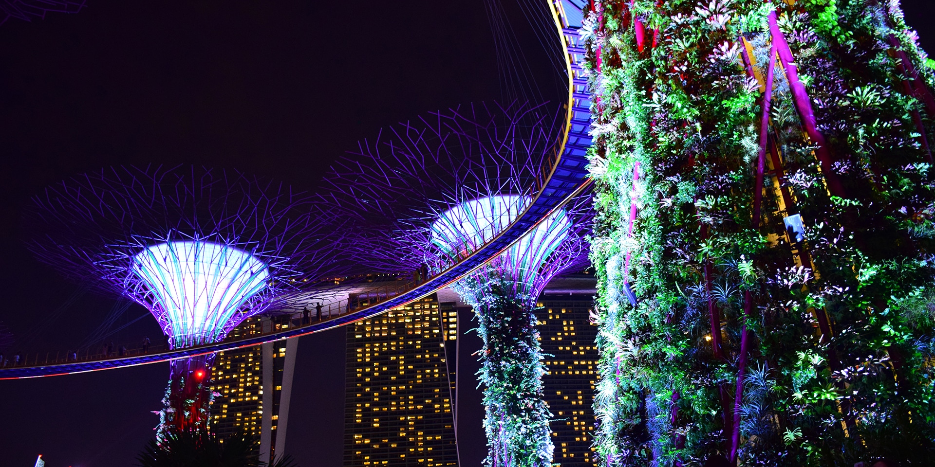 things to do in singapore supertrees mike and megan jerrard