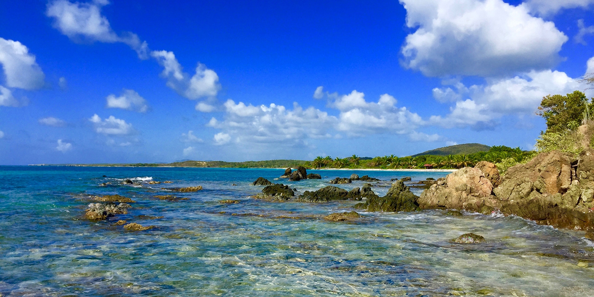 excursion to vieques