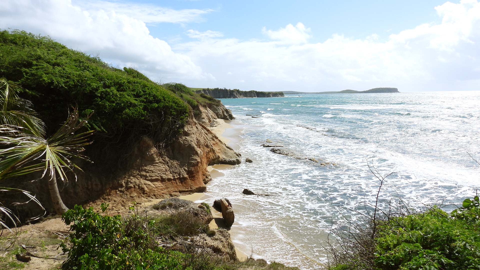 Beach and cliffs in Vieques, Puerto Rico, on a sunny day.