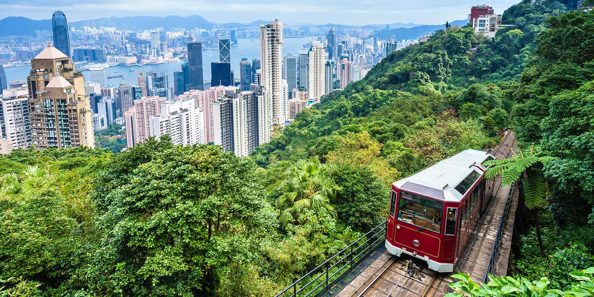 what to do in hong kong
