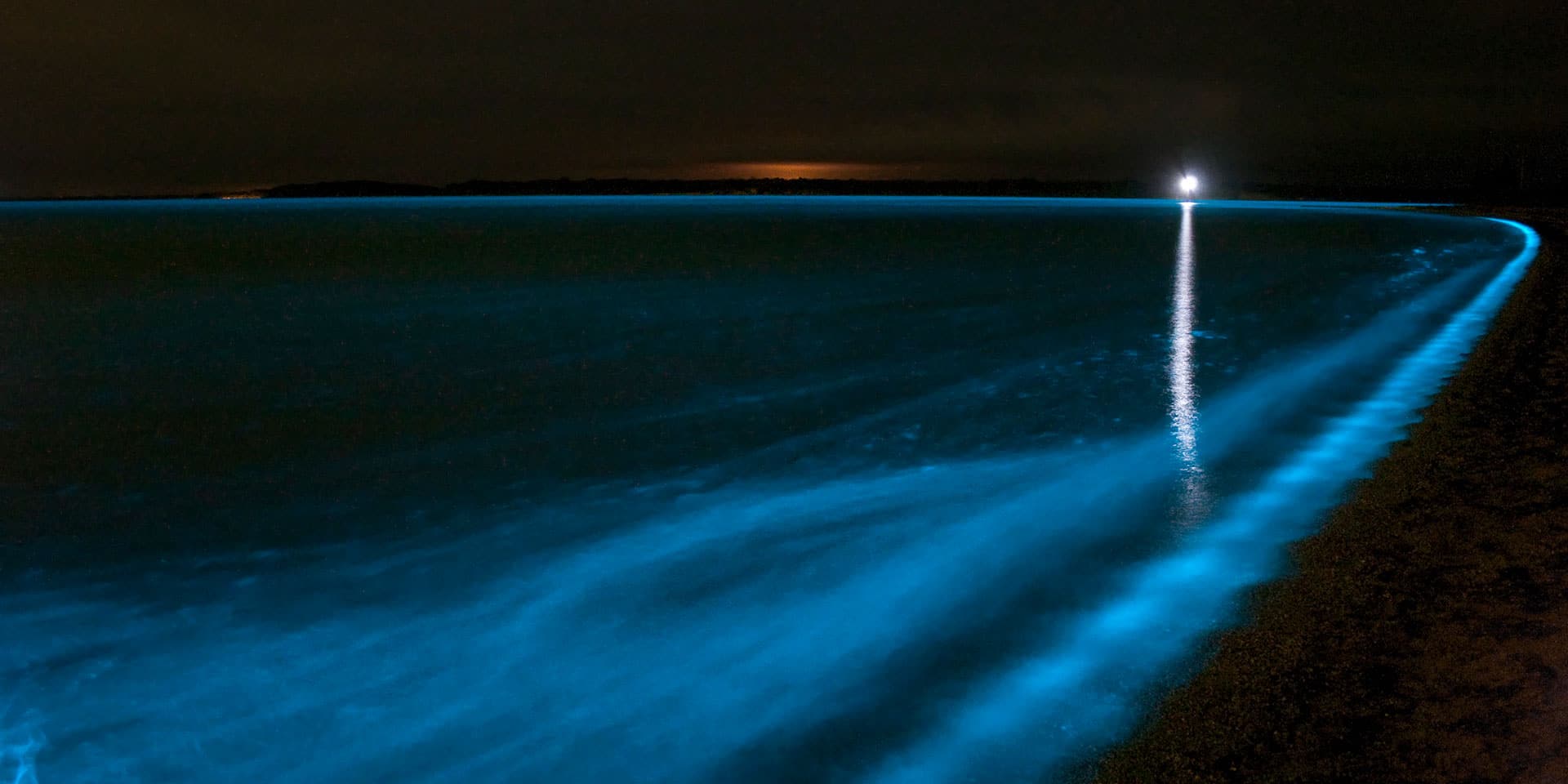 bioluminescent bay​