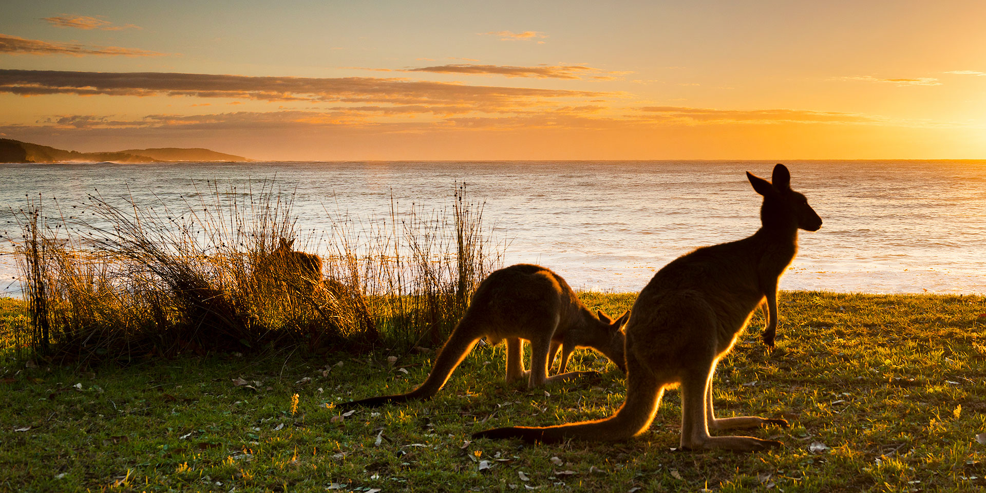 Verdensrekord Guinness Book lejr Subjektiv The Gold Coast Australia Best Secret Hangouts | Marriott Traveler