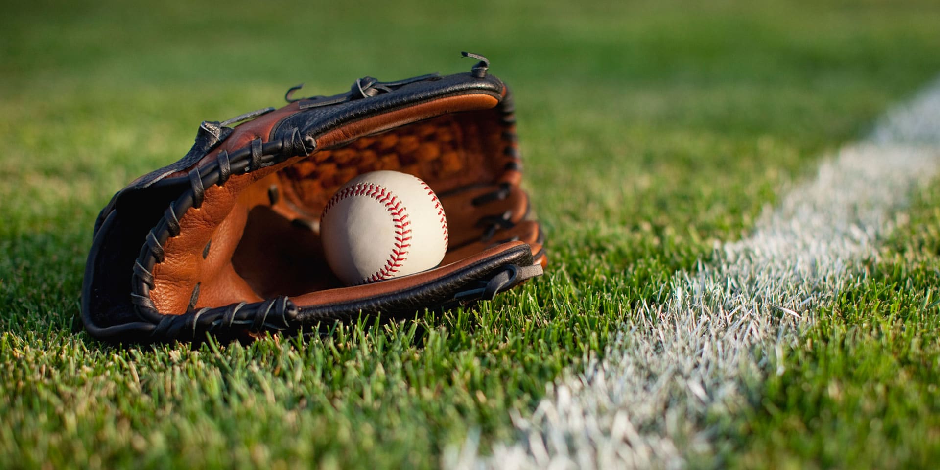 Batter Up: Get in Gear and Handle Spring Training in Tampa Like a Pro