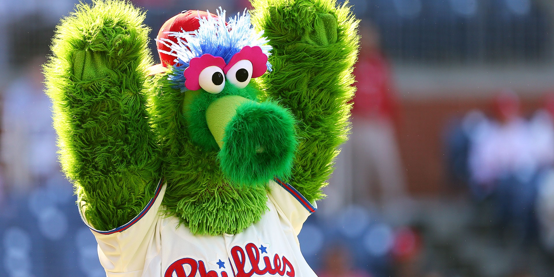Phillies fan injured after Phillie Phanatic's flying hot dog hit