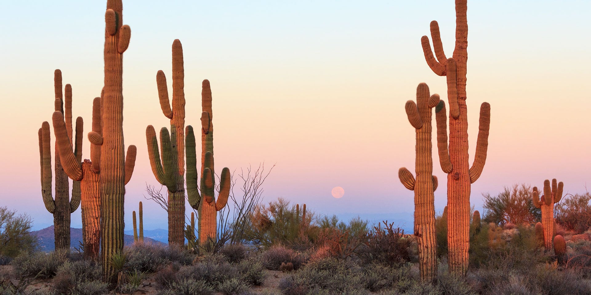 8 Reasons Summertime’s the Right Time in Phoenix