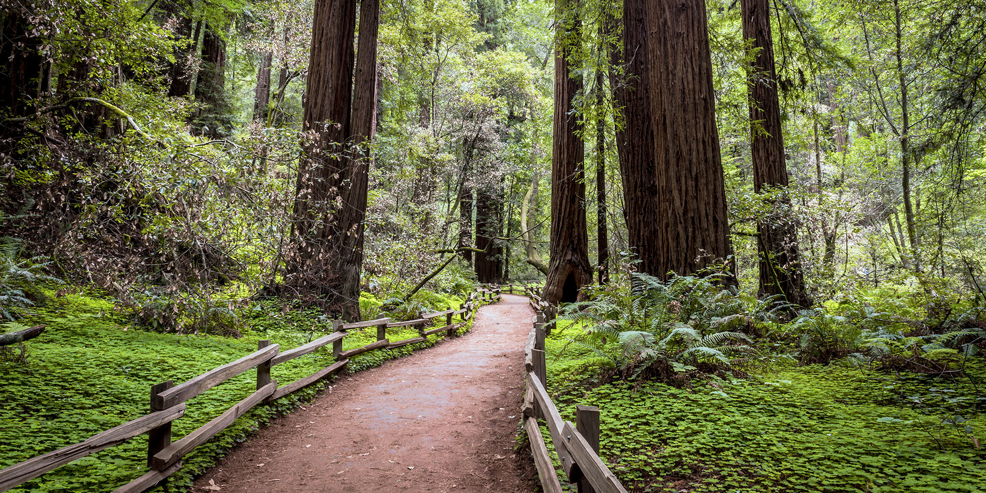 day trips from san francisco