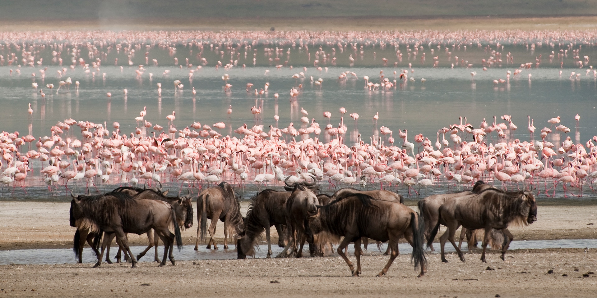 Plan a Tanzania Safari | Marriott Bonvoy Traveler