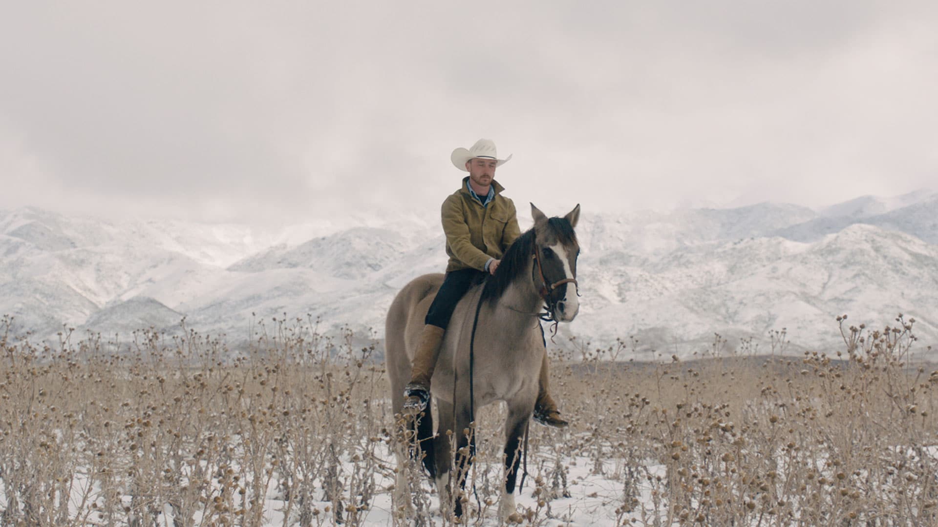 Meet American Cowboy Brady Jandreau | Marriott Bonvoy Traveler