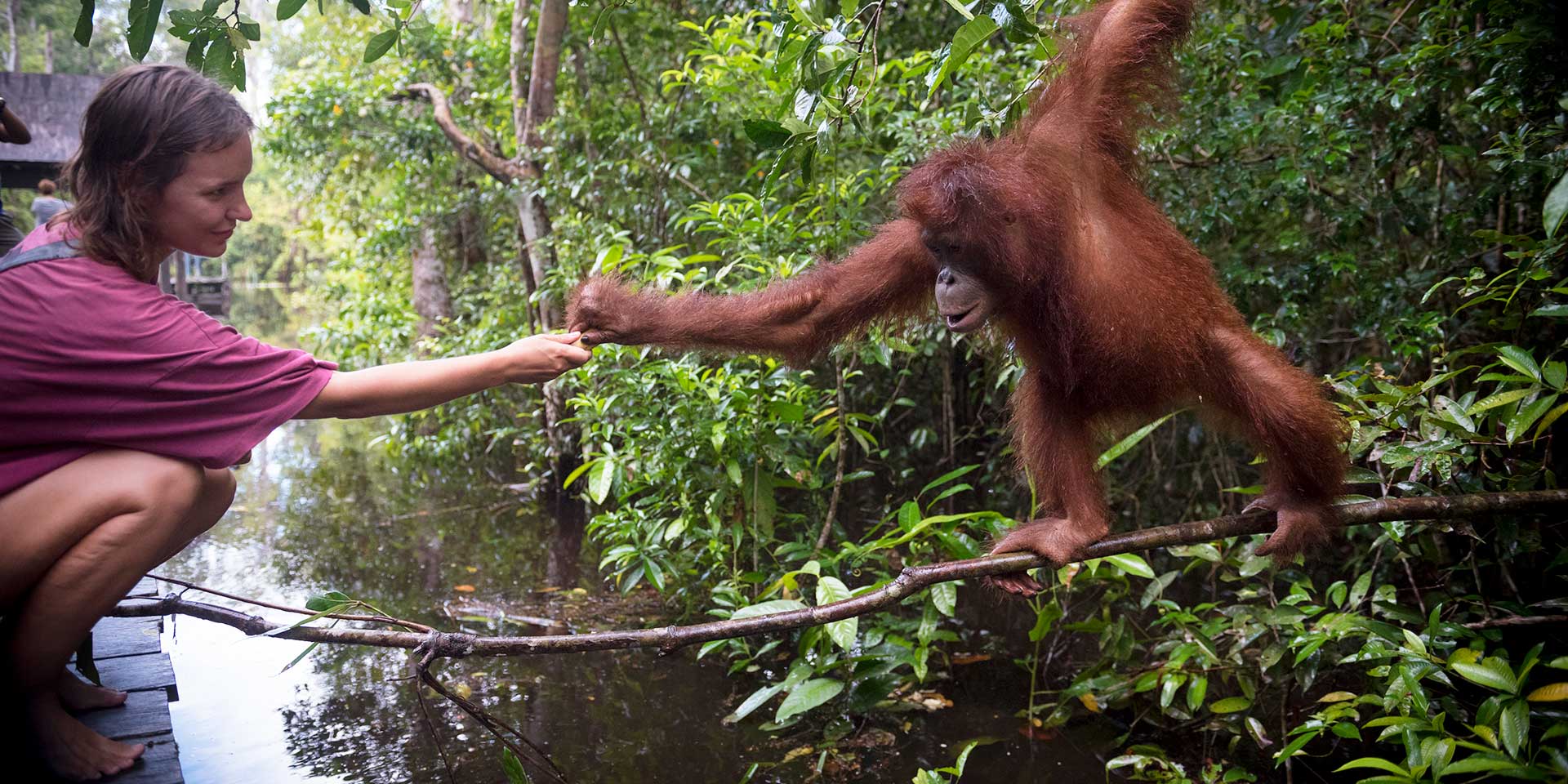 woman reaching out to primate at sanctuary