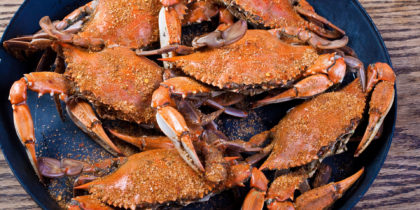 baltimore crabs on plate with old bay