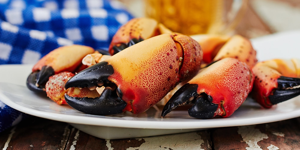 plate of stone crab claws