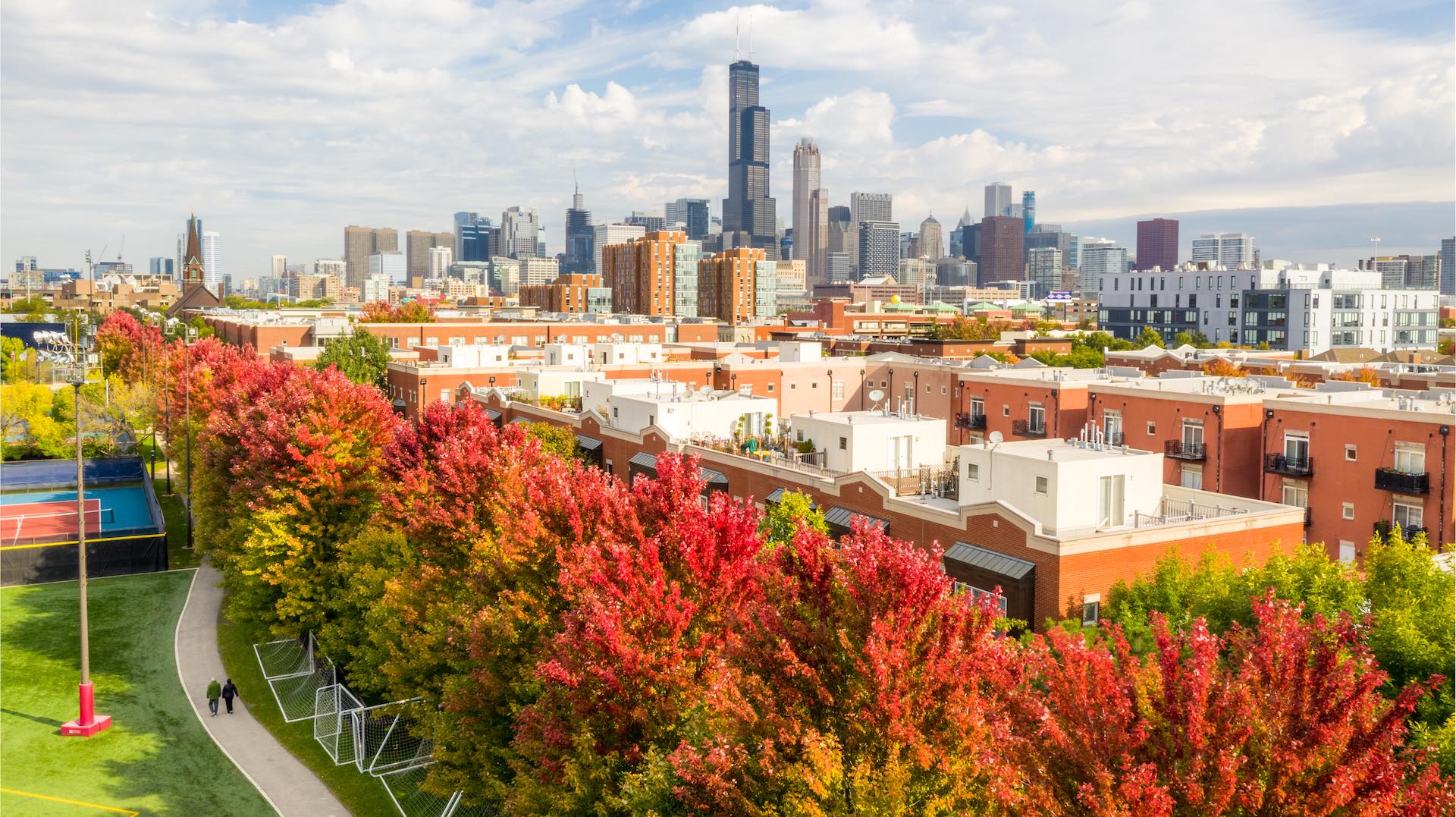 chicago skyline and trees in autumn