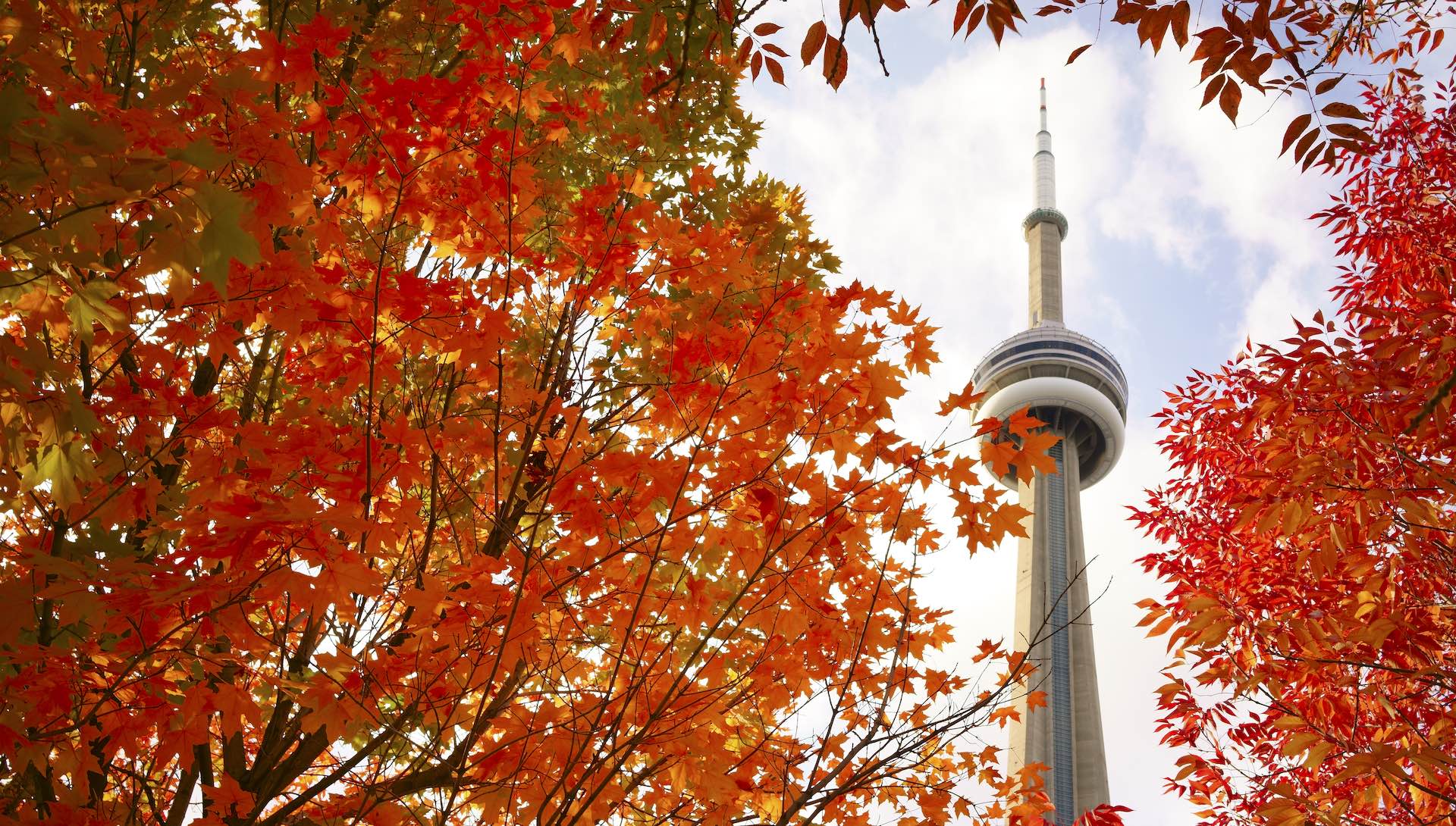 Cn tower in fall