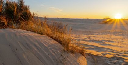 jockey ridge sunset on dunes
