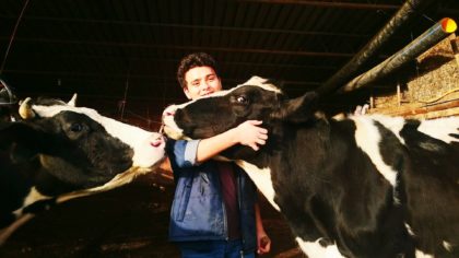 man hugging cow