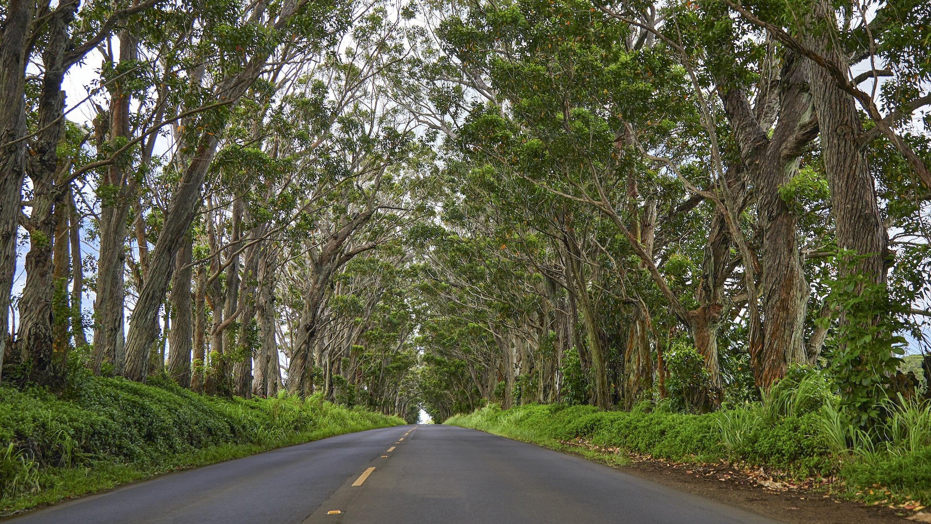 What to Do in Kaua: A 1-Week Itinerary | Marriott Bonvoy Traveler