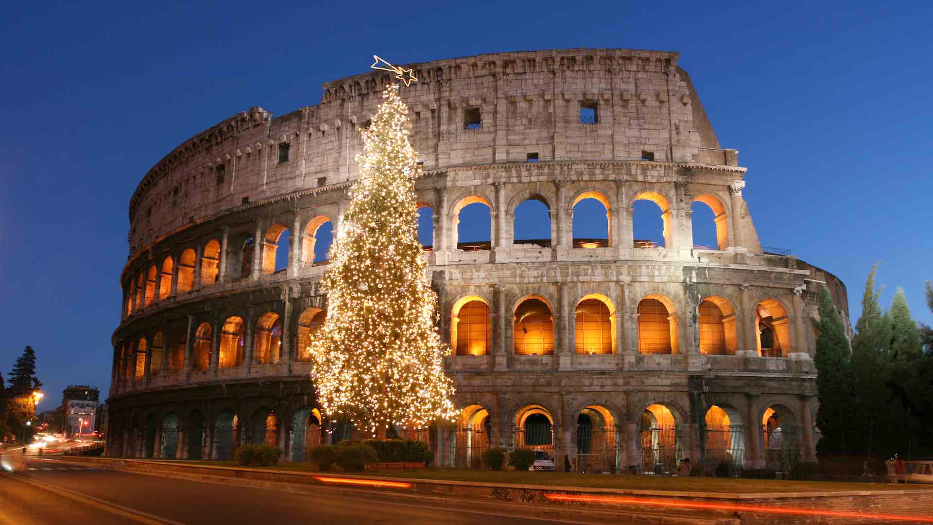 colosseum with christmas tree at night