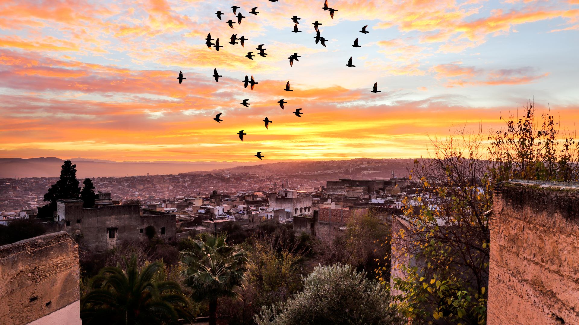 sunset in fes