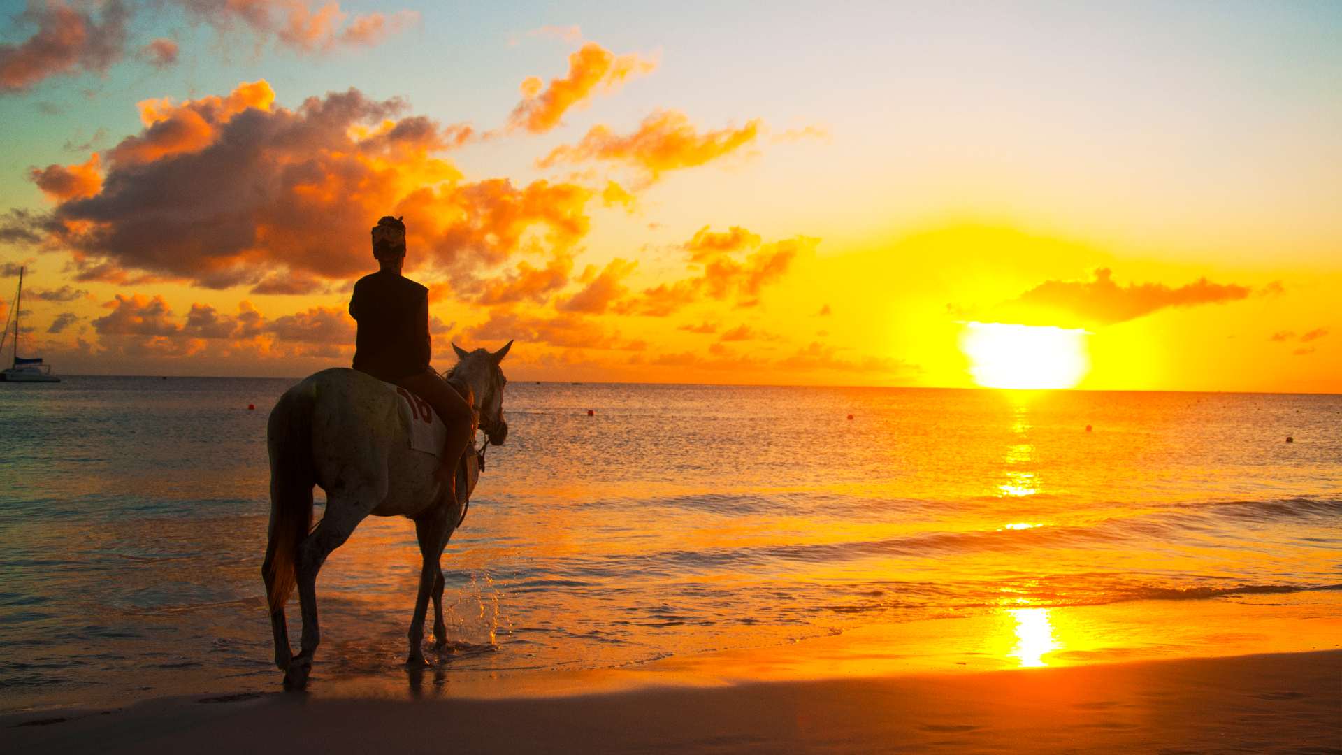 person on horseback on beach
