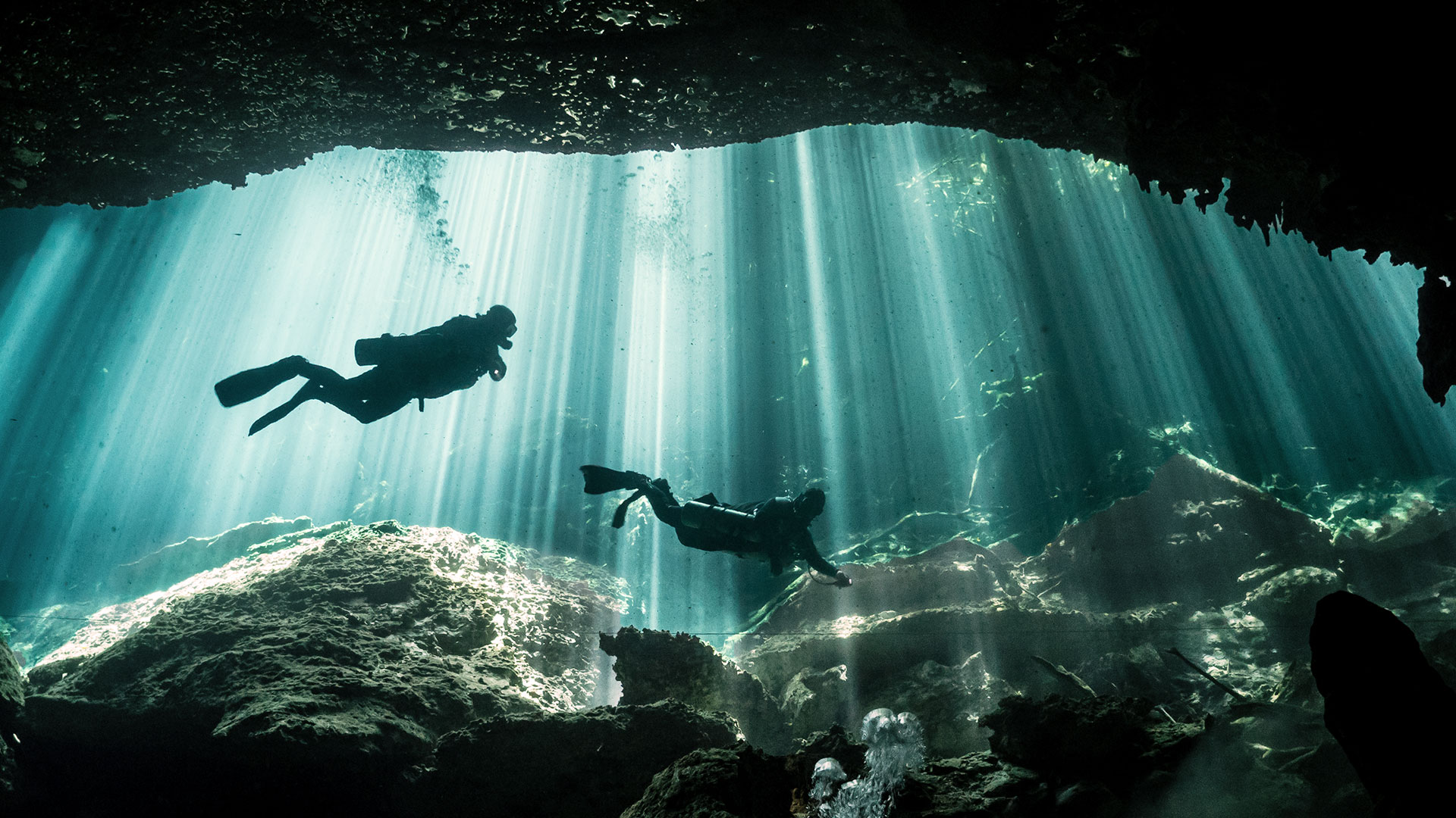 two divers at a cenote