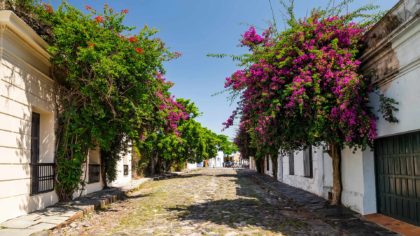 flower lined street in colonia del sacramento