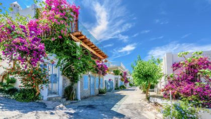 street in bodrum draped with bougainvillea