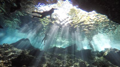 swimmers in a cenote in mexico