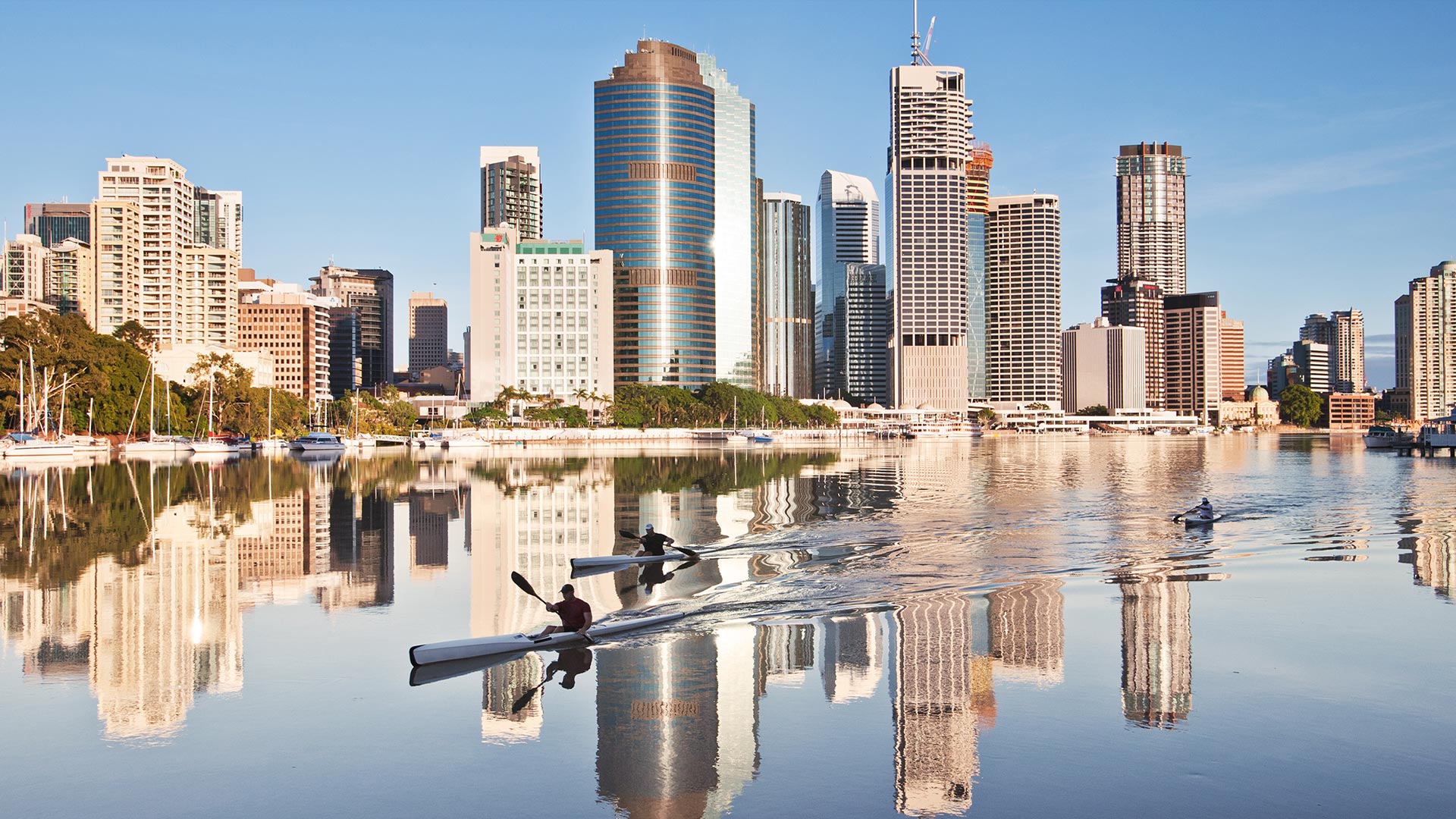 kayakers on brisbane river with skyline