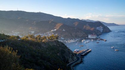 aerial view of catalina island